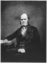 Portrait de Charles Darwin (1809-82)